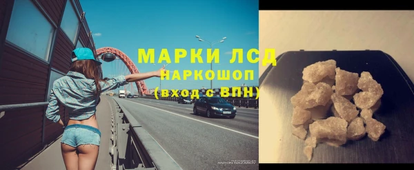 стаф Алексин
