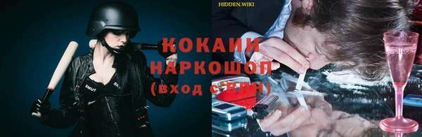 стаф Алексин