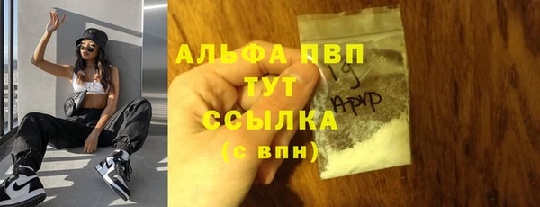 стаф Алексин