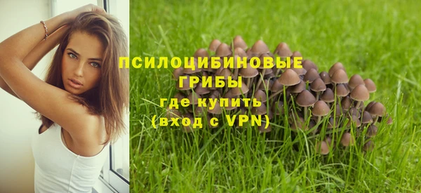 кокс Алзамай