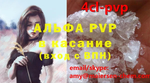 стаф Алексин