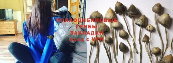 стаф Алексин